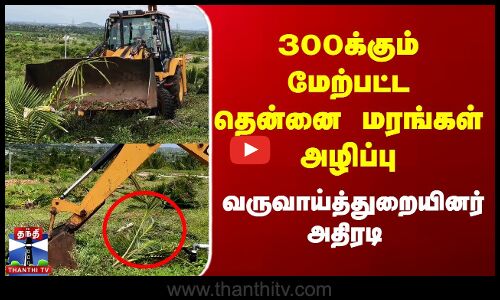 300க்கும் மேற்பட்ட தென்னை மரங்கள் அழிப்பு - வருவாய்த்துறையினர் அதிரடி