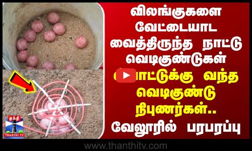 Vellore Bomb | வேட்டையாட வைத்திருந்த நாட்டு வெடிகுண்டுகள் - ஸ்பாட்டுக்கு வந்த வெடிகுண்டு நிபுணர்கள்