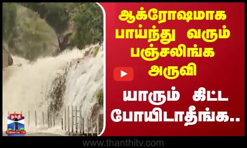 Udumalai | ஆக்ரோஷமாக பாய்ந்து வரும் பஞ்சலிங்க அருவி ; யாரும் கிட்ட போயிடாதீங்க..