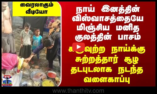 Pregnant Dog Viral Video | பாசத்தின் உச்சம்.. தி.மலையில் நாய்க்கு வளைகாப்பு செய்த கிராமப் பெண்கள்