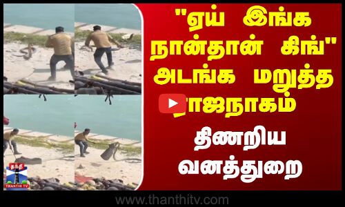 Uttarakhand | ஏய் இங்க நான்தான் கிங் அடங்க மறுத்த ராஜநாகம்.. திணறிய வனத்துறை