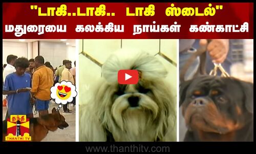 டாகி..டாகி.. டாகி ஸ்டைல் - மதுரையை கலக்கிய நாய்கள் கண்காட்சி