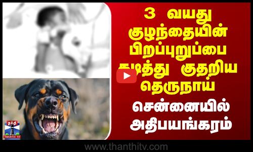 Chennai Dog Bite | 3 வயது குழந்தையின் பிறப்புறுப்பை கடித்து குதறிய தெருநாய் - சென்னையில் அதிபயங்கரம்