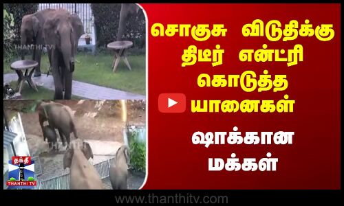 சொகுசு விடுதிக்கு திடீர் என்ட்ரி கொடுத்த யானைகள் | ஷாக்கான மக்கள்