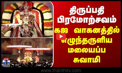 Tirupati | திருப்பதி பிரமோற்சவம் - கஜ வாகனத்தில் எழுந்தருளிய மலையப்ப சுவாமி