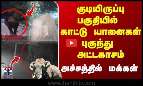குடியிருப்பு பகுதியில் காட்டு யானைகள் புகுந்து  அட்டகாசம் அச்சத்தில் மக்கள்