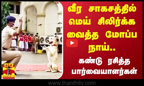 வீர சாகசத்தில் மெய் சிலிர்க்கவைத்த மோப்ப நாய்.. கண்டு ரசித்த பார்வையாளர்கள்