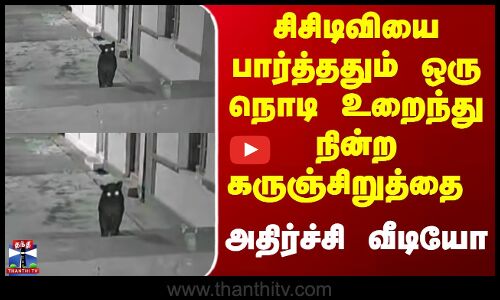 Black panther | சிசிடிவியை பார்த்ததும் அப்படியே உறைந்து நின்ற கருஞ்சிறுத்தை  - அதிர்ச்சி வீடியோ