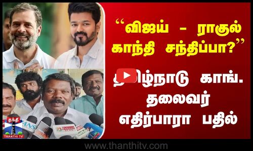 விஜய் - ராகுல் காந்தி சந்திப்பா? | தமிழக காங். தலைவர் எதிர்பாரா பதில்