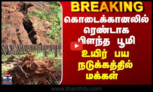 Kodaikanal Land | கொடைக்கானலில் ரெண்டாக பிளந்த பூமி - உயிர்பய நடுக்கத்தில் மக்கள்