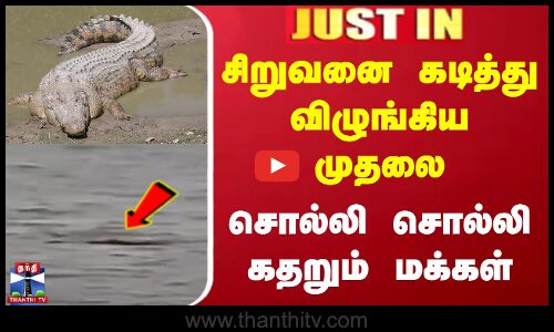 Crocodile Attack | சிறுவனை கடித்து விழுங்கிய முதலை - சொல்லி சொல்லி கதறும் மக்கள்