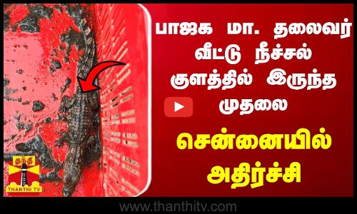 பாஜக மா. தலைவர் வீட்டு நீச்சல் குளத்தில் இருந்த முதலை... சென்னையில் அதிர்ச்சி