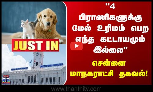 Pets | Chennai | 4 பிராணிகளுக்கு மேல் உரிமம் பெற எந்த கட்டாயமும் இல்லை - சென்னை மாநகராட்சி தகவல்
