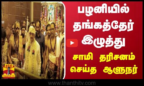 பழனியில் தங்கத்தேர் இழுத்து சாமி தரிசனம் செய்த ஆளுநர்