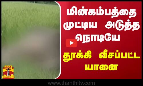 மின்கம்பத்தை முட்டிய அடுத்த நொடியே தூக்கி வீசப்பட்ட யானை