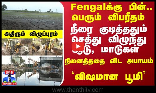 Fengalக்கு பின்.. விபரீதம்.. நீரை குடித்ததும் செத்து விழுந்து ஆடு,மாடுகள்-  `விஷமான பூமி...