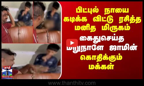 பிட்புல் நாயை கடிக்க விட்டு ரசித்த மனித மிருகம் - கைதுசெய்த மறுநாளே ஜாமின்..