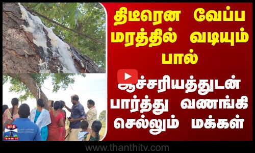 திடீரென வேப்ப மரத்தில் வடியும் பால் - ஆச்சரியத்துடன் பார்த்து வணங்கி செல்லும் மக்கள்