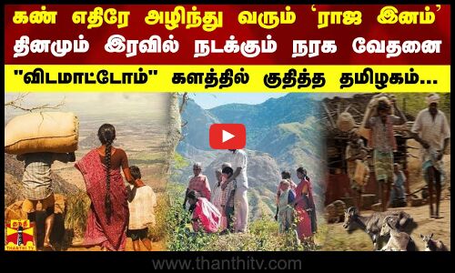 கண் எதிரே அழிந்து வரும் ராஜ இனம்.. தினமும் இரவில் நடக்கும் நரக வேதனை -விடமாட்டோம் களத்தில் தமிழகம்