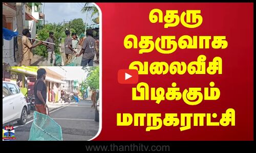 Street Dogs | Rabies | தெரு நாய்களுக்கு ரேபிஸ் தடுப்பூசி செலுத்தும் பணி தீவிரம்