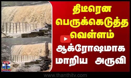 Trichy | Heavy Rain | Flood | திடீரென பெருக்கெடுத்த வெள்ளம் - ஆக்ரோஷமாக மாறிய அருவி