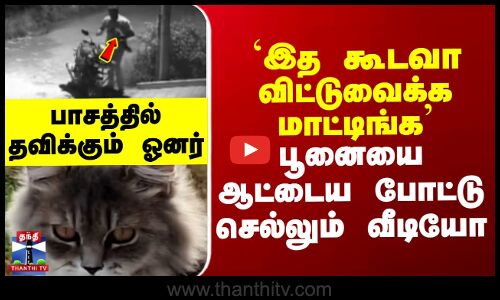 ``இத கூடவா விட்டுவைக்க மாட்டிங்க பூனையை ஆட்டைய போட்டு செல்லும் வீடியோ