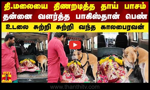 தி.மலையை திணறடித்த தாய் பாசம்.. வளர்த்த பாகிஸ்தான் பெண் உடலை சுற்றி சுற்றி வந்த காலபைரவன் நாய்