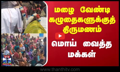 Tirupur | Donkey | மழை வேண்டி கழுதைகளுக்குத் திருமணம் - மொய் வைத்த மக்கள்