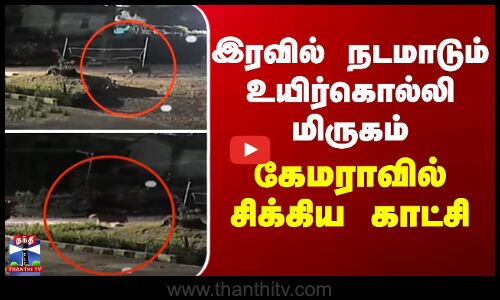 இரவில் நடமாடும் உயிர்கொல்லி மிருகம் - கேமராவில் சிக்கிய காட்சி