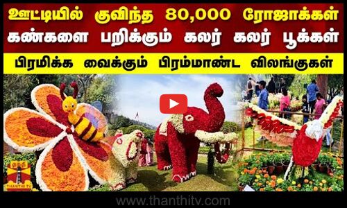 ஊட்டியில் குவிந்த 80,000 ரோஜாக்கள்.. கண்களை பறிக்கும் கலர் கலர் பூக்கள்.. பிரம்மாண்ட விலங்குகள்