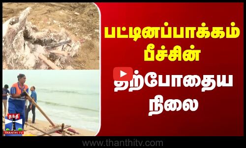 பட்டினப்பாக்கம் பீச்சின் தற்போதைய நிலை