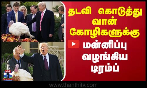 Trump | தடவி கொடுத்து வான்கோழிகளுக்கு மன்னிப்பு வழங்கிய டிரம்ப்