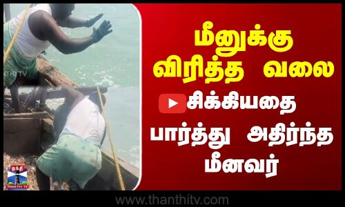 மீனுக்கு விரித்த வலை - சிக்கியதை பார்த்து அதிர்ந்த மீனவர்