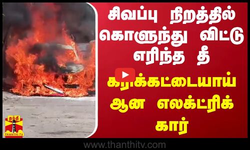 சிவப்பு நிறத்தில் கொளுந்து விட்டு எரிந்த தீ.. கரிக்கட்டையாய் ஆன எலக்ட்ரிக் கார்