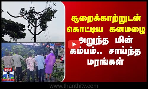 TN Rain | Rainfall | சூறைக்காற்றுடன் கொட்டிய கனமழை - அறுந்த மின் கம்பம்.. சாய்ந்த மரங்கள்