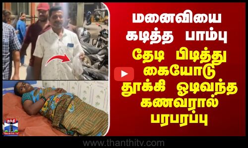 Vellore | Snake | மனைவியை கடித்த பாம்பு.. தேடி பிடித்து கையோடு தூக்கி ஓடிவந்த கணவரால் பரபரப்பு