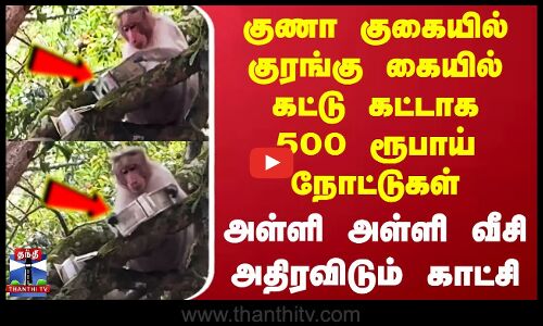 குணா குகையில் குரங்கு கையில் கட்டு கட்டாக 500 ரூபாய் நோட்டுகள் - அள்ளி அள்ளி வீசி அதிரவிடும் காட்சி