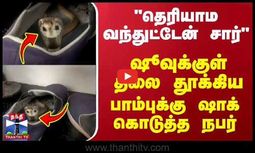 தெரியாமவந்துட்டேன் சார்  ஷூவுக்குள் தலை தூக்கிய பாம்புக்கு ஷாக் கொடுத்த நபர்