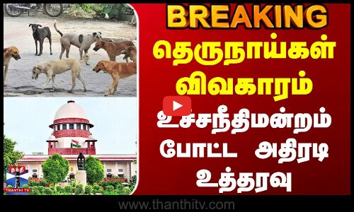 #BREAKING || Street Dog Issue | தெருநாய்கள் விவகாரம்.. உச்சநீதிமன்றம் போட்ட அதிரடி உத்தரவு