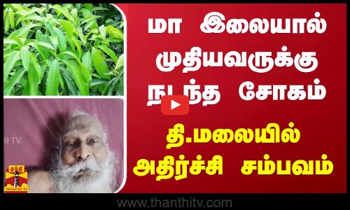 மா இலையால் முதியவருக்கு நடந்த சோகம் - தி.மலையில் அதிர்ச்சி சம்பவம்