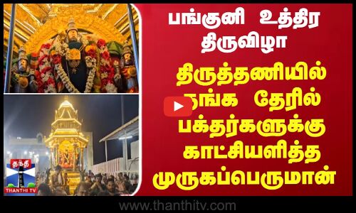 பங்குனி உத்திரம் - தங்க தேரில் பக்தர்களுக்கு காட்சியளித்த முருகப்பெருமான்