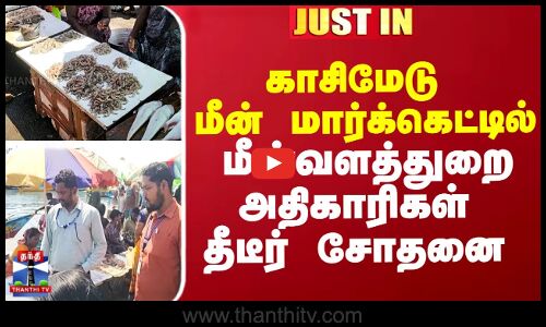 காசிமேடு மீன்  மார்க்கெட்டில் மீன்வளத்துறை அதிகாரிகள் தீடீர் சோதனை