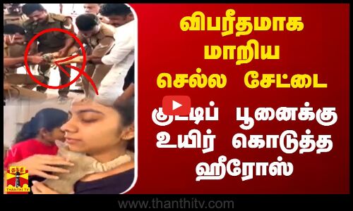 விபரீதமாக மாறிய செல்ல சேட்டை.. குட்டிப் பூனைக்கு உயிர் கொடுத்த ஹீரோஸ்