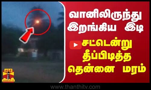 வானிலிருந்து இறங்கிய இடி - சட்டென்று தீப்பிடித்த தென்னை மரம் | TN Rain | Heavy Rain | Thunder Strom