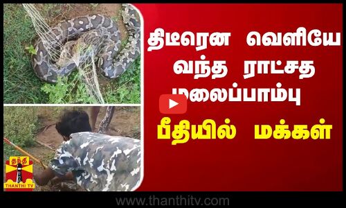 திடீரென வெளியே வந்த ராட்சத மலைப்பாம்பு - பீதியில் மக்கள்