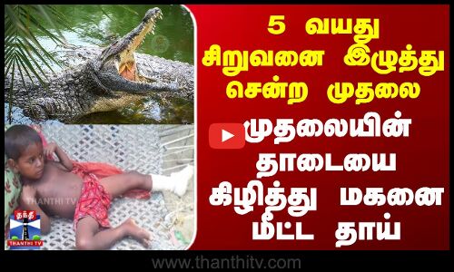 5 வயது சிறுவனை இழுத்து சென்ற முதலை - முதலையின் தாடையை கிழித்து மகனை மீட்ட தாய்