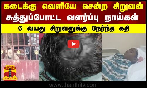 கடைக்கு வெளியே சென்ற சிறுவன்..சுத்துப்போட்ட வளர்ப்பு நாய்கள்..6 வயது சிறுவனுக்கு நேர்ந்த கதி