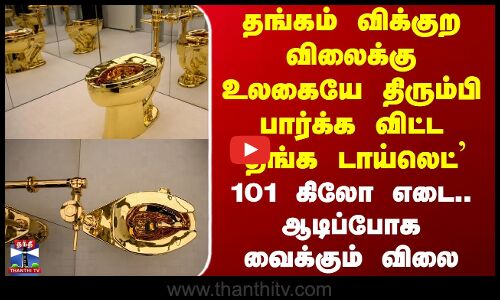 Gold Toilet | America | தங்கம் விக்குற விலைக்கு உலகையே திரும்பி பார்க்க விட்ட `தங்க டாய்லெட்