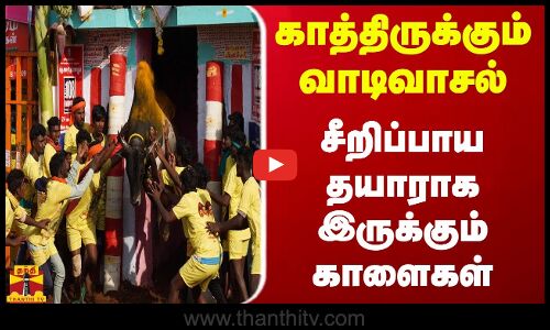 காத்திருக்கும் வாடிவாசல் - சீறிப்பாய தயாராக இருக்கும் காளைகள் | palamedu jallikattu