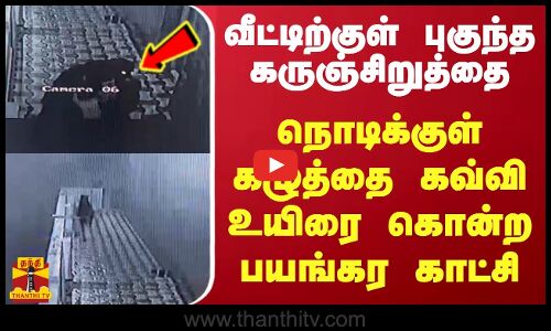 வீட்டிற்குள் புகுந்த கருஞ்சிறுத்தை.. நொடிக்குள் கழுத்தை கவ்வி உயிரை கொன்ற பயங்கர காட்சி